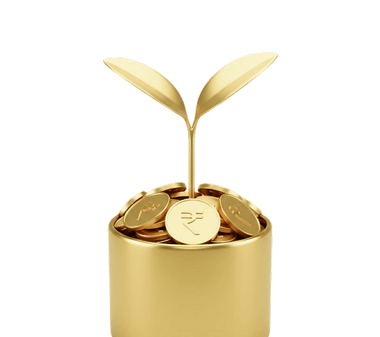 Growing wealth