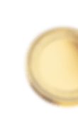 gold coin